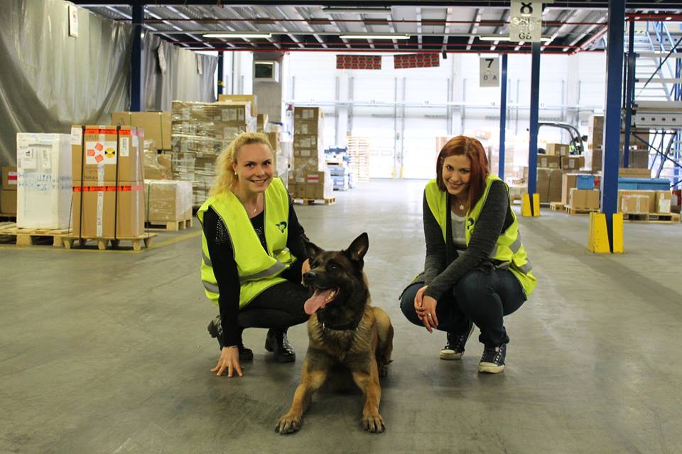 Sprengstoffsp&uuml;rhund Ben