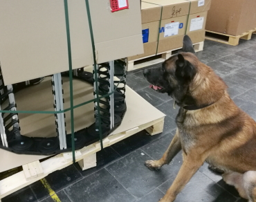 Ben Sprengstoffsp&uuml;rhund Luftfracht 